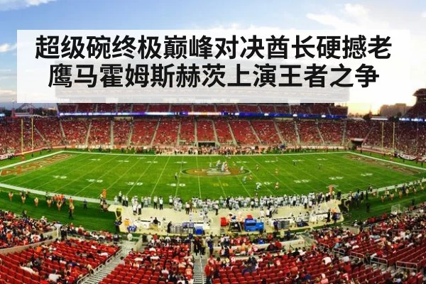 超级碗终极巅峰对决酋长硬撼老鹰马霍姆斯赫茨上演王者之争