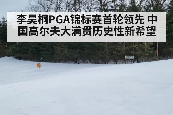 李昊桐PGA锦标赛首轮领先 中国高尔夫大满贯历史性新希望